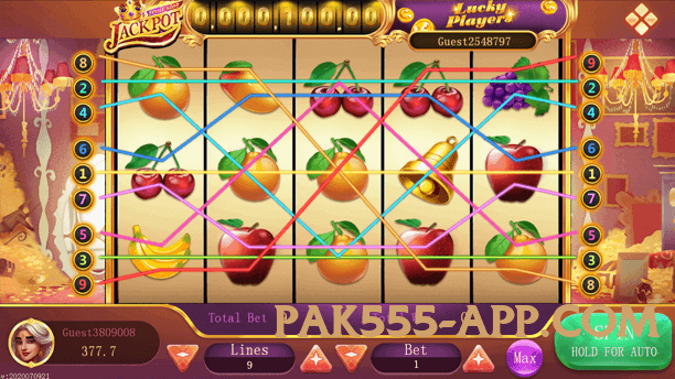 Mega winpkr Screenshot 1